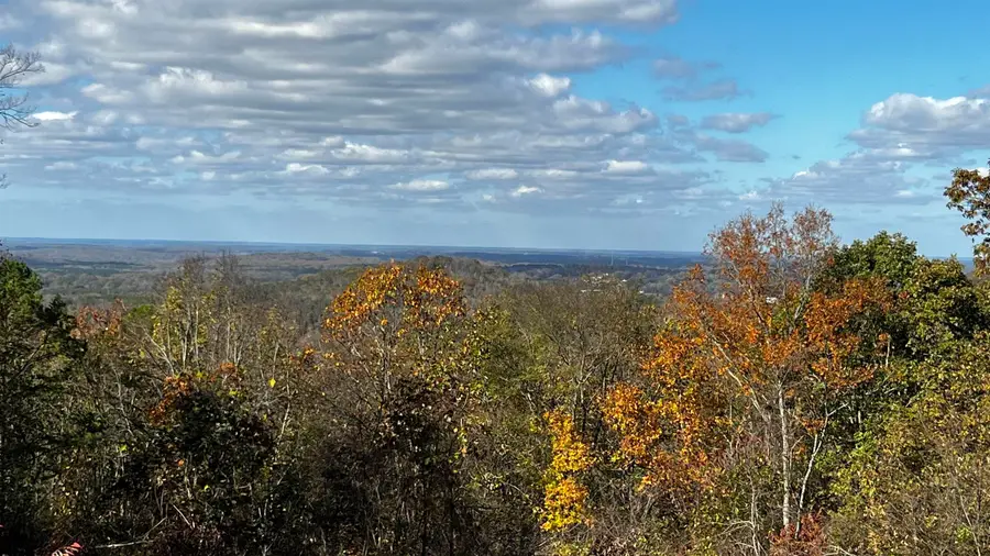 121 Darrell Dr, Tuscumbia, AL 35674 - Image #3