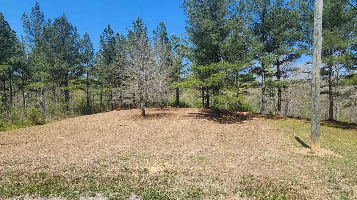 0 Co Rd 373, Crane Hill, AL 35053 - Image #1