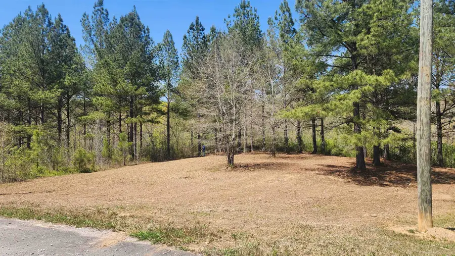 0 Co Rd 373, Crane Hill, AL 35053 - Image #2