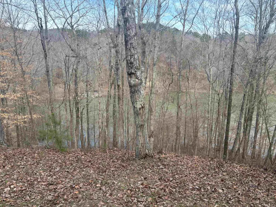 0 Co Rd 373, Crane Hill, AL 35053 - Image #3