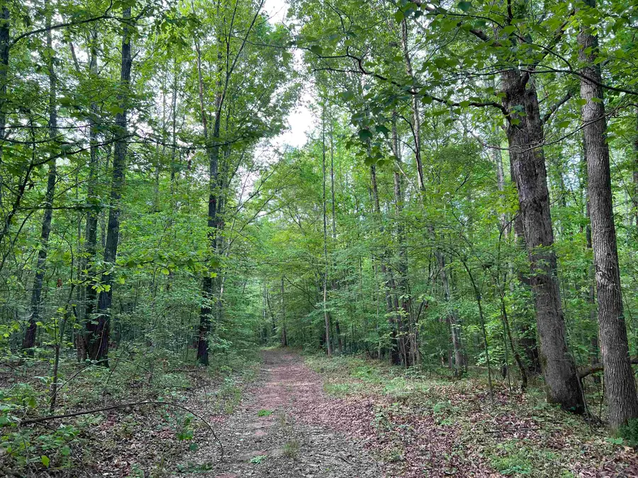 00 Co Rd 14, Waterloo, AL 35677 - Image #3