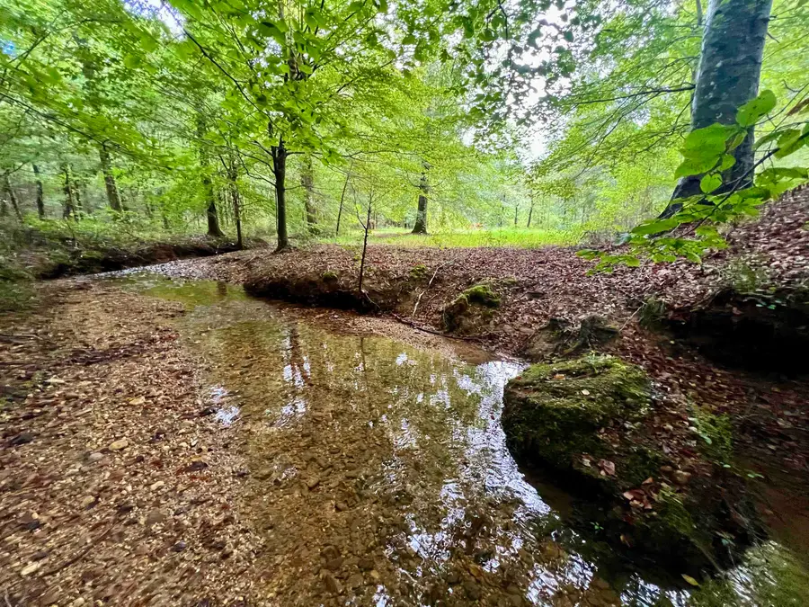 00 Co Rd 60, Florence, AL 35633 - Image #3