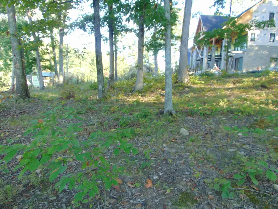 019 Lingerlost Rd, Killen, AL 35645 - Image #2