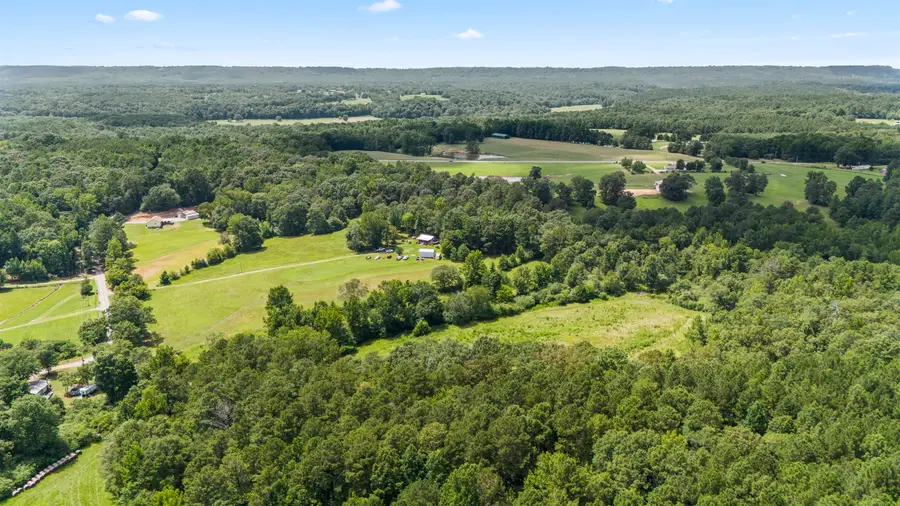 13AC Co Rd 501, Hanceville, AL 35077 - #2