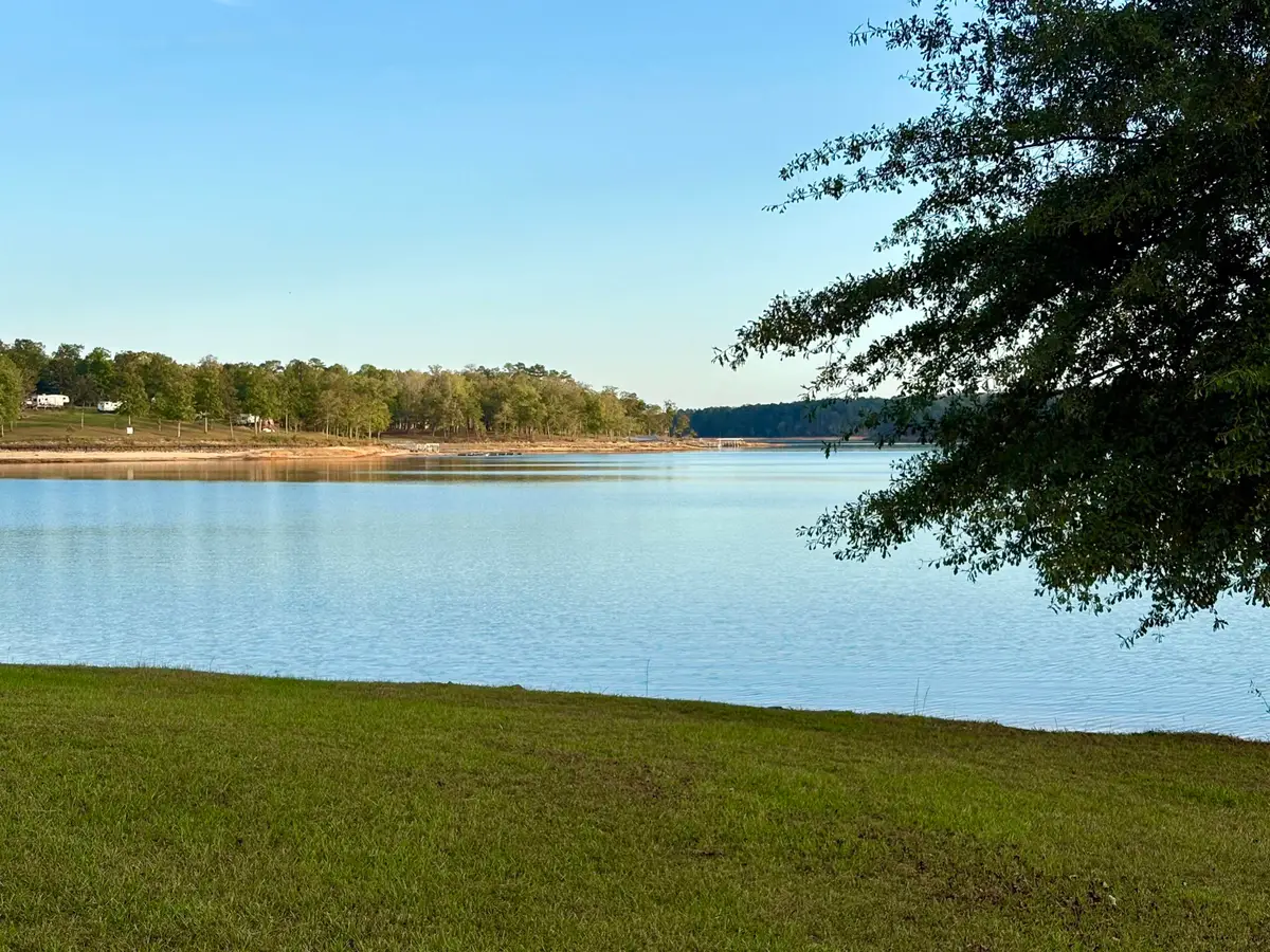 LOT 232 Stoney Point Rd, Double Springs, AL 35553 - #1
