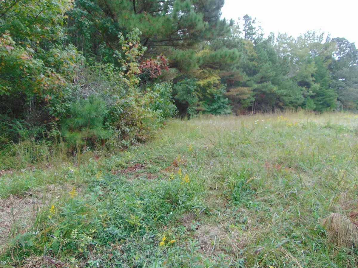 4000 Woodmont Dr, Tuscumbia, AL 35674 - Image #1