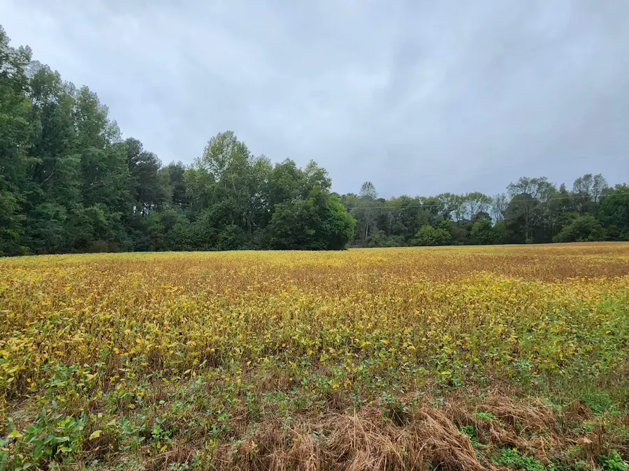 131 Co Rd 1228, Vinemont, AL 35179 - Image #3