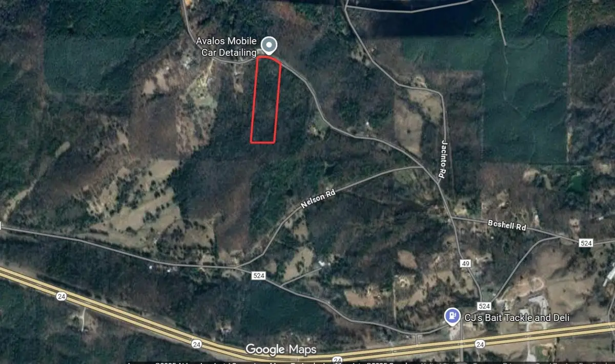 0 County Hwy 49, Russellville, AL 35654 - Image #1