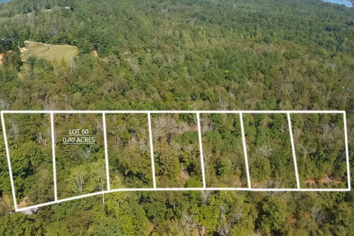 Lot 60 Peninsula Dr, Houston, AL 35572 - Image #1