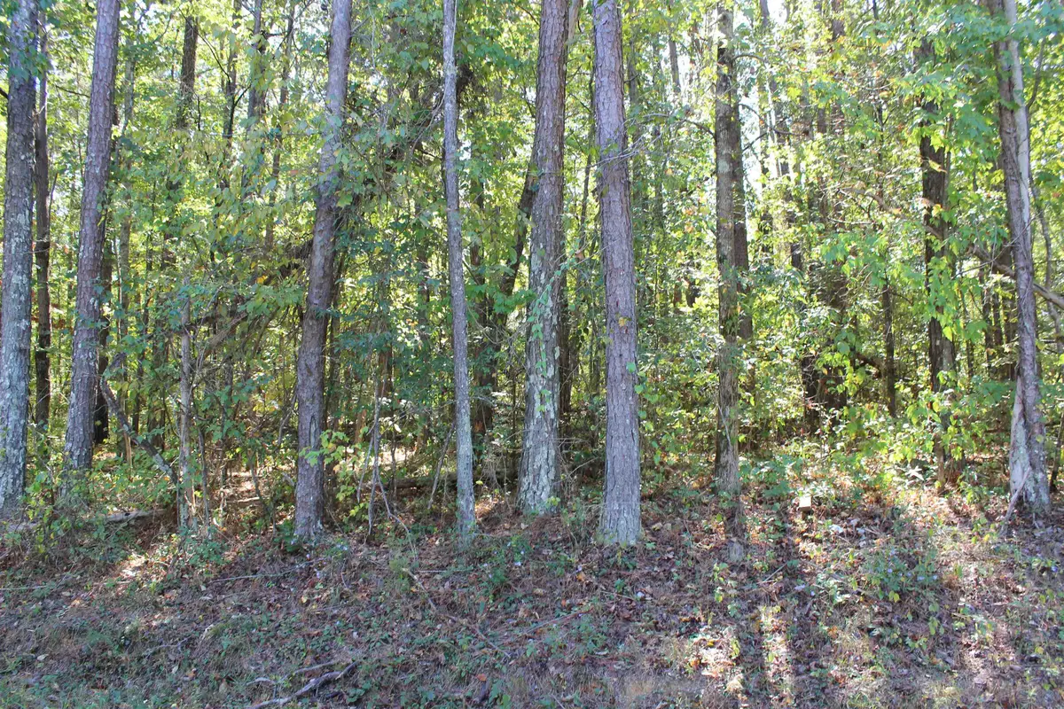 0 Co Rd 134, Bremen, AL 35033 - Image #1