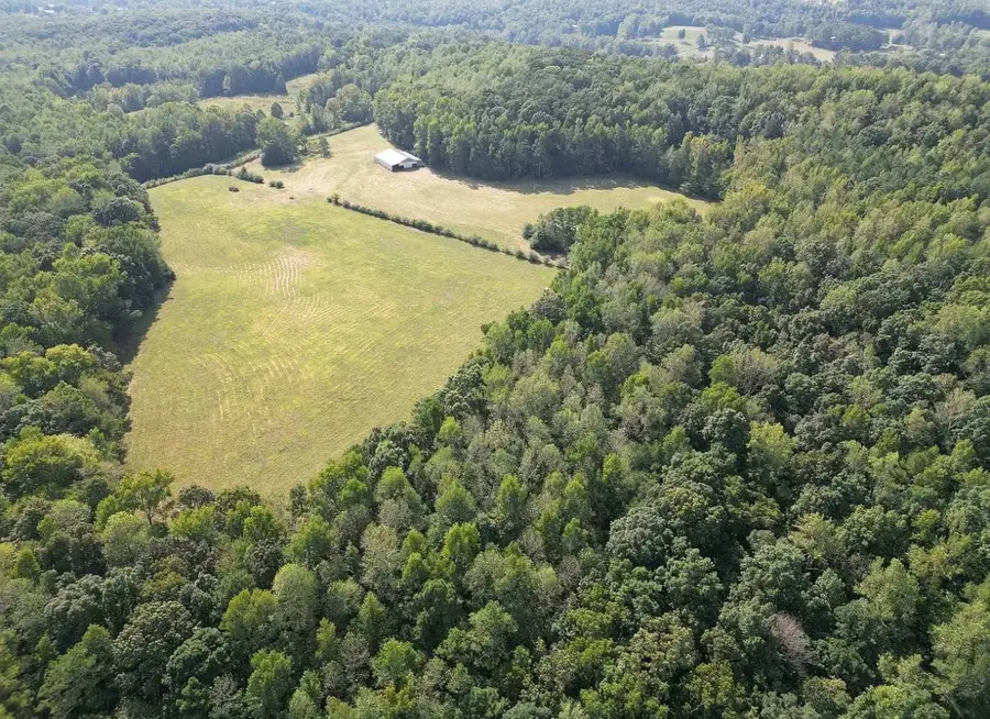 0 Co Rd 839, Logan, AL 35098 - Image #3