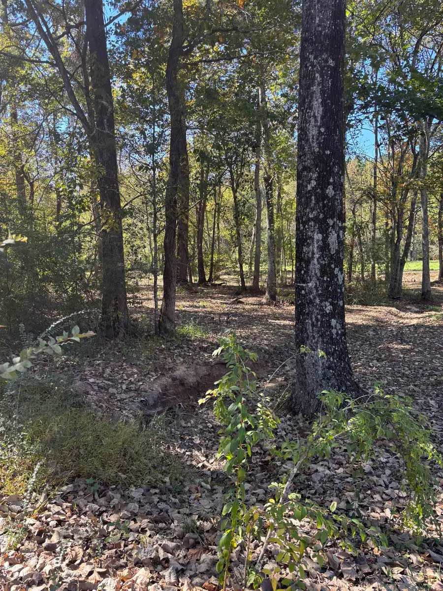 0 Brookridge, Russellville, AL 35654 - Image #3