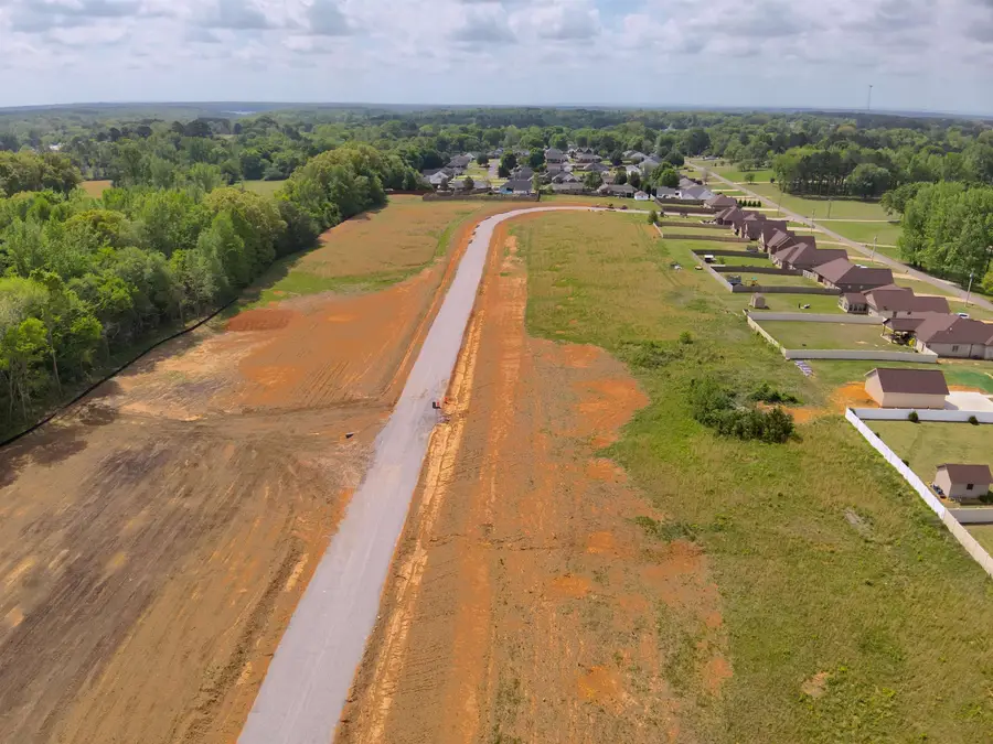 Lot 24 Alabama St, Killen, AL 35645 - #3