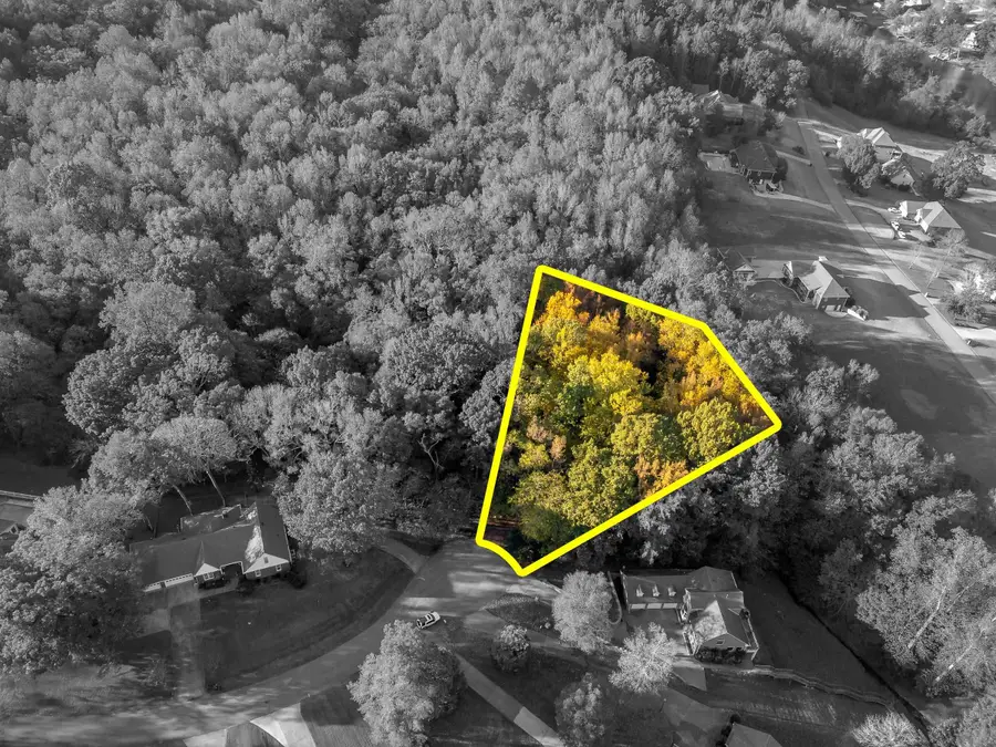 145 Harbor Close, Killen, AL 35645 - Image #3