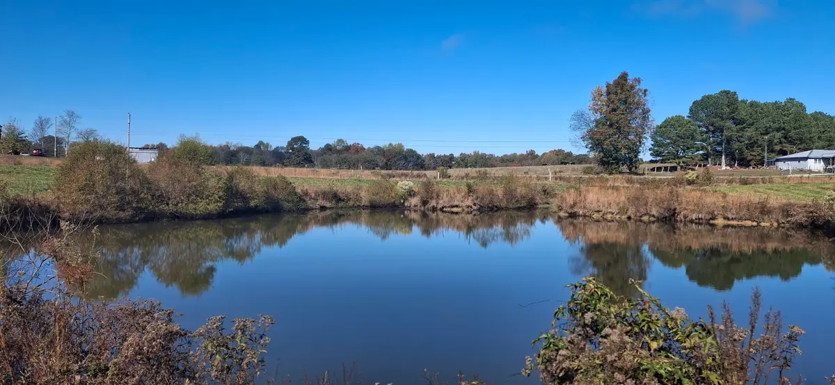 160 Little Egypt Rd, Tuscumbia, AL 35674 - Image #1