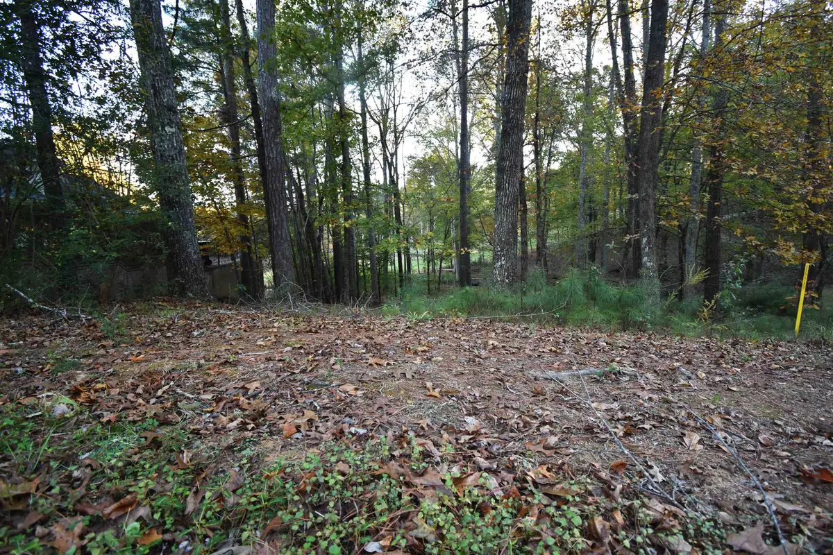 Lot 91 Fairway Dr, Cullman, AL 35057 - Image #1