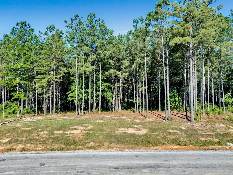 Lot 54 Shoreline Dr, Double Springs, AL 35553 - Image #2