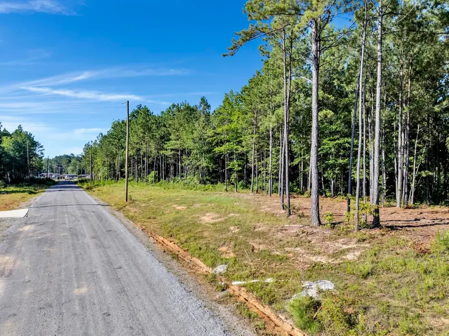 Lot 54 Shoreline Dr, Double Springs, AL 35553 - Image #3