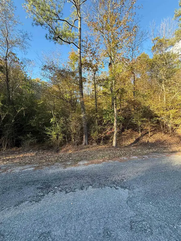 0 Co Rd 518, Hanceville, AL 35077