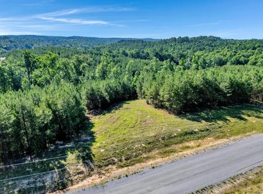 Lot 67 Shoreside Dr, Double Springs, AL 35553 - Image #3