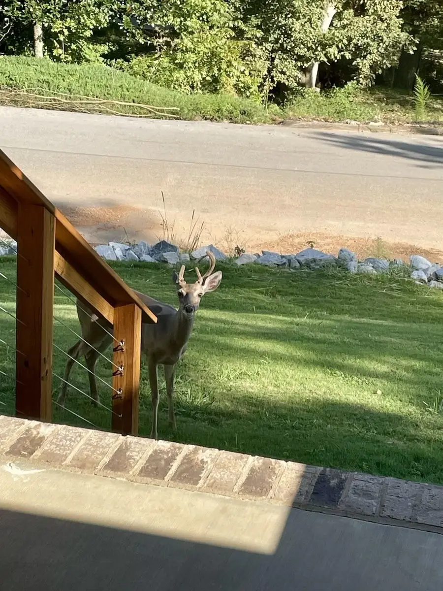 200 Creekside Dr, Florence, AL 35630 - #2