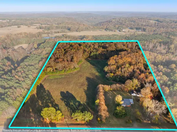 2986 Eva Rd, Falkville, AL 35622