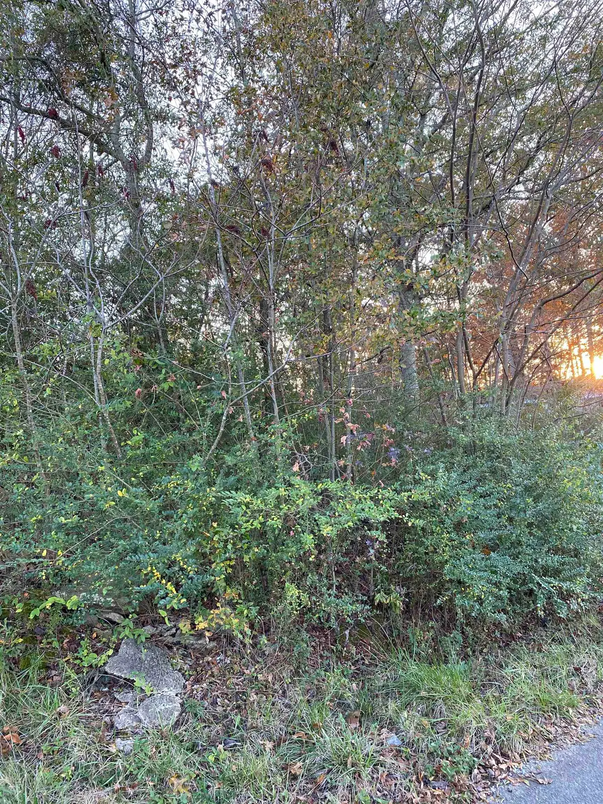 1091 Co Rd 1402, Cullman, AL 35058 - Image #1