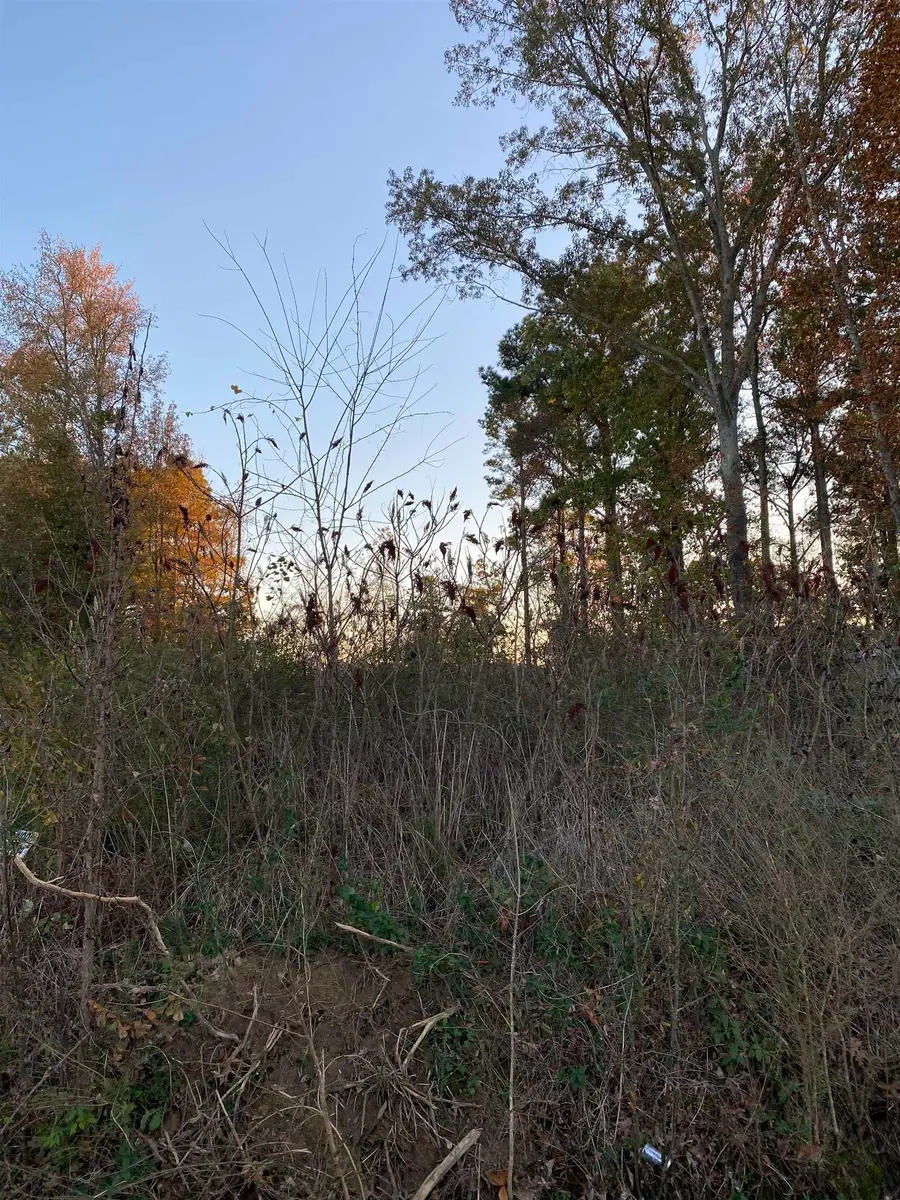 1091 Co Rd 1402, Cullman, AL 35058 - Image #2