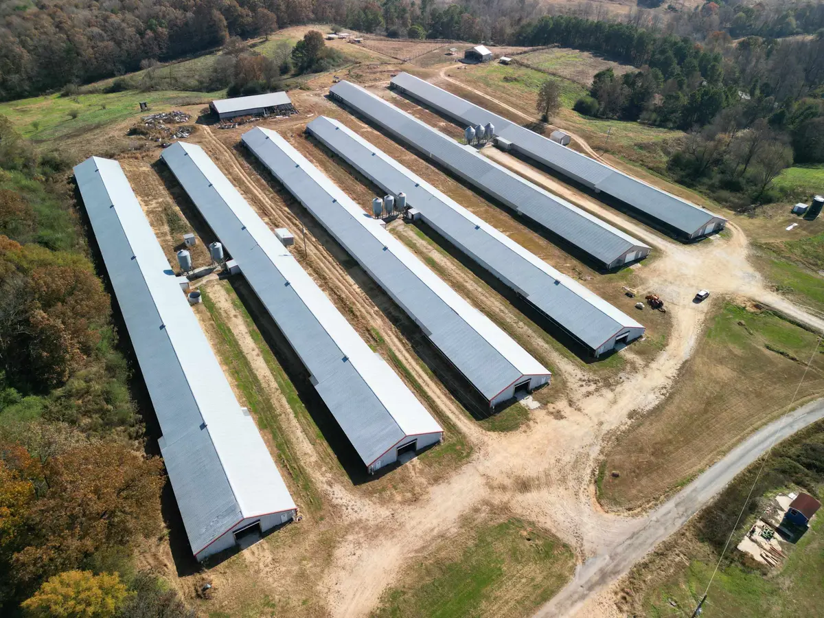 0 Cowbranch Rd, Hackleburg, AL 35564 - Image #1