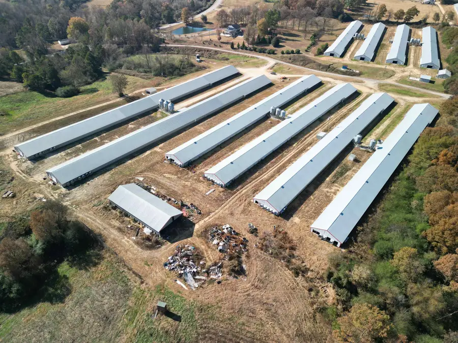 0 Cowbranch Rd, Hackleburg, AL 35564 - Image #2