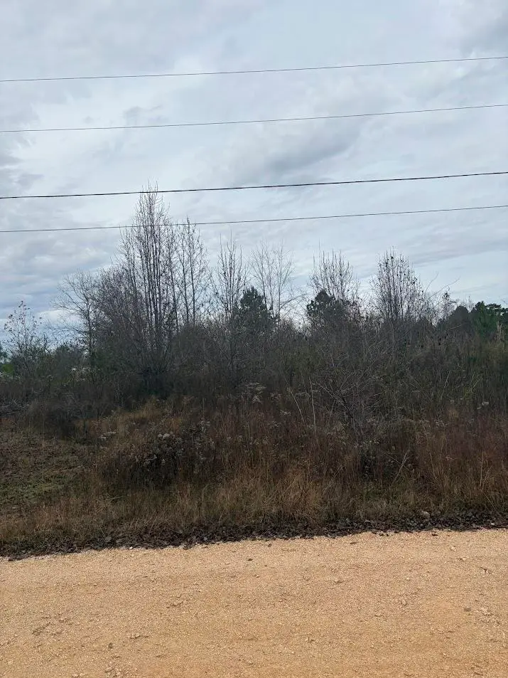 44 Faires Dr, Killen, AL 35645 - Image #3