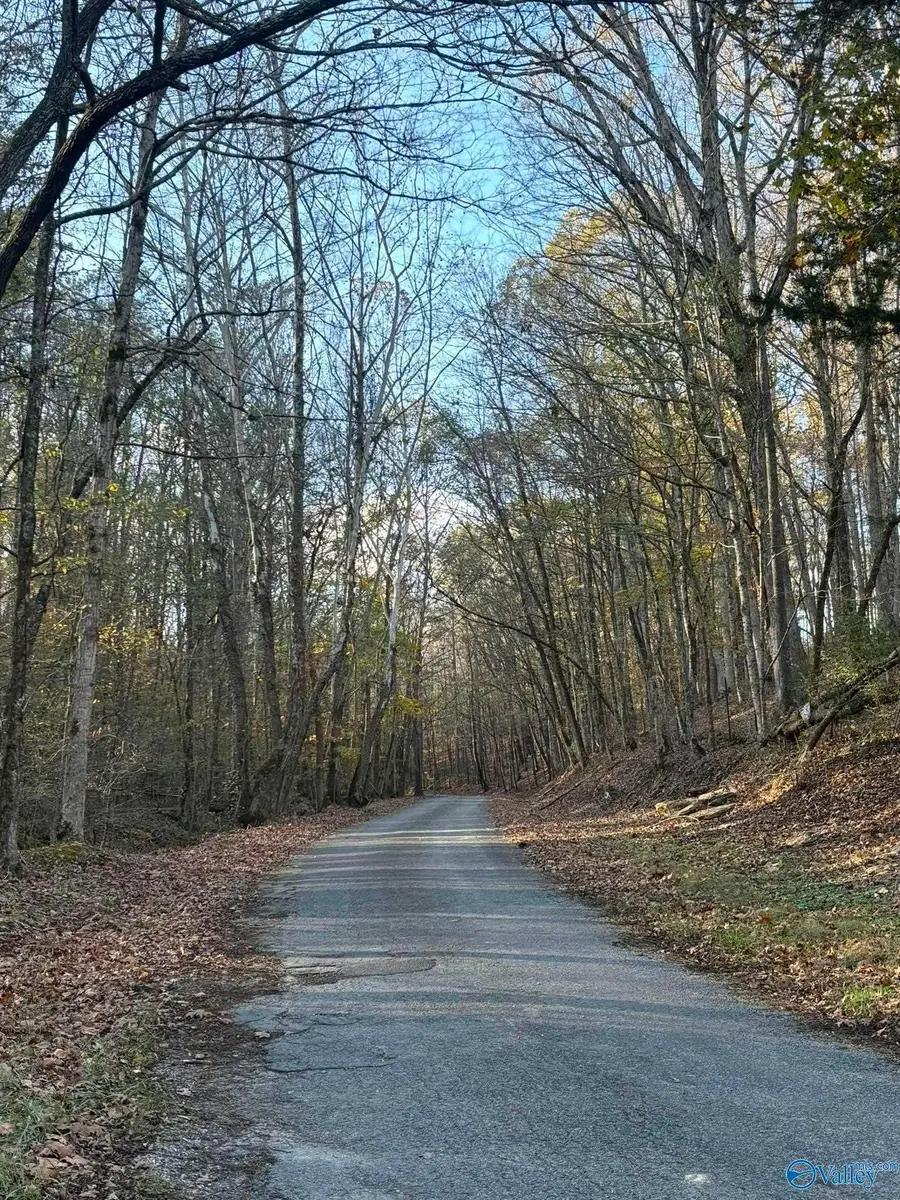 8271 Jernigan Hollow Rd, Athens, AL 35614 - Image #3