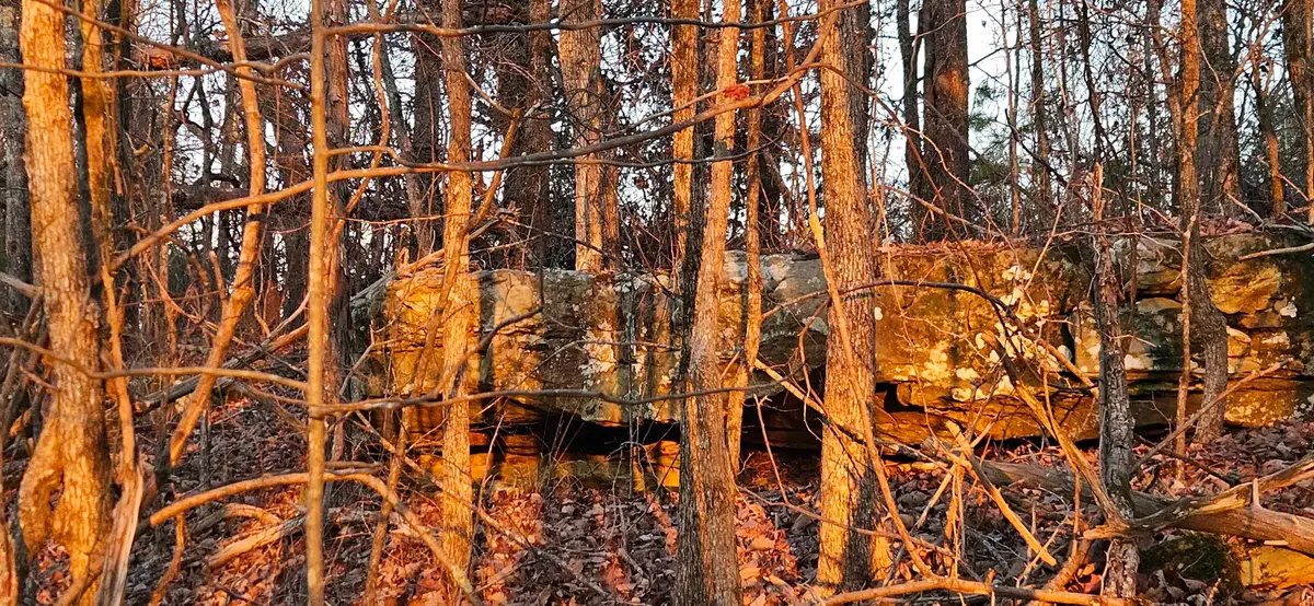 00 Underwood Mountain Rd, Tuscumbia, AL 35674 - Image #1