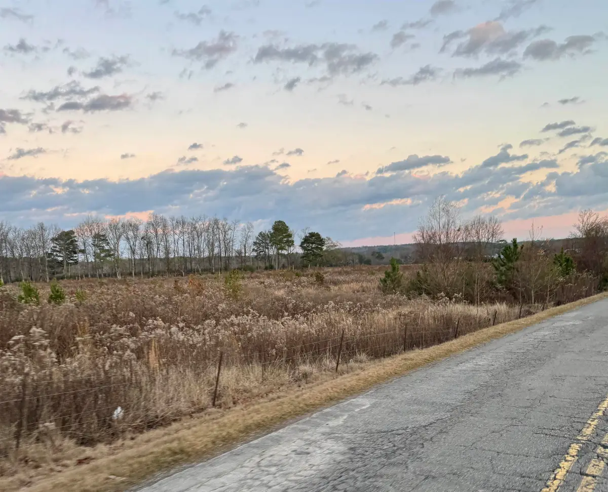 110 Co Rd 331, Crane Hill, AL 35053 - Image #1