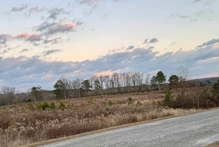 110 Co Rd 331, Crane Hill, AL 35053 - Image #2