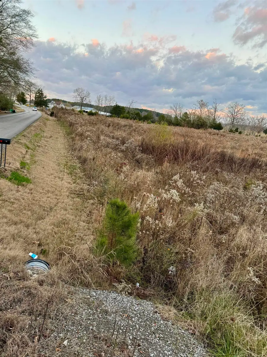 110 Co Rd 331, Crane Hill, AL 35053 - Image #3