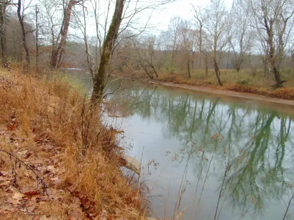 599 Co Rd 342, Killen, AL 35645