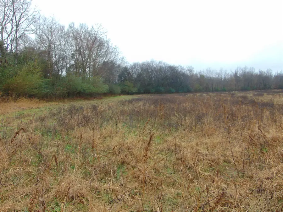 599 Co Rd 342, Killen, AL 35645 - Image #2