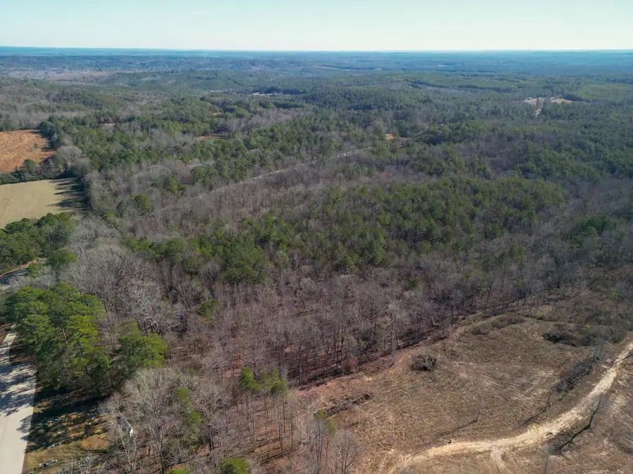 0 Byler Rd, Lynn, AL 35575 - Image #2