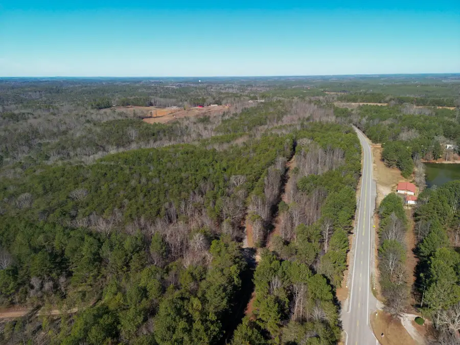 0 Byler Rd, Lynn, AL 35575 - Image #3