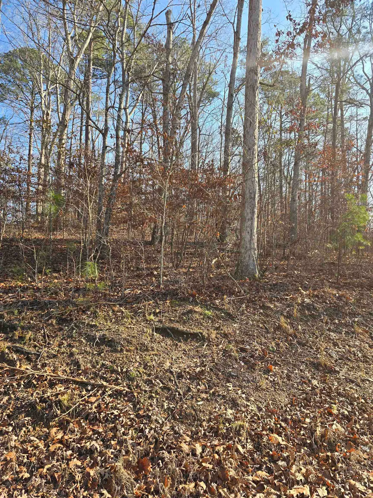 Lot 2 & 3 Stone Brook Cove Dr, Jasper, AL 35504 - Image #1
