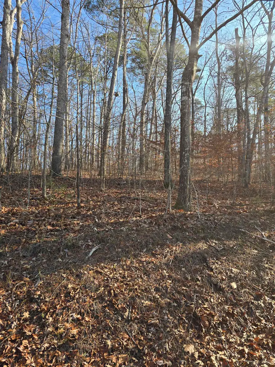 Lot 2 & 3 Stone Brook Cove Dr, Jasper, AL 35504 - Image #3