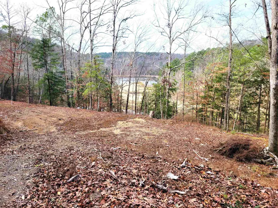 458 Co Rd 4036, Arley, AL 35541 - #2