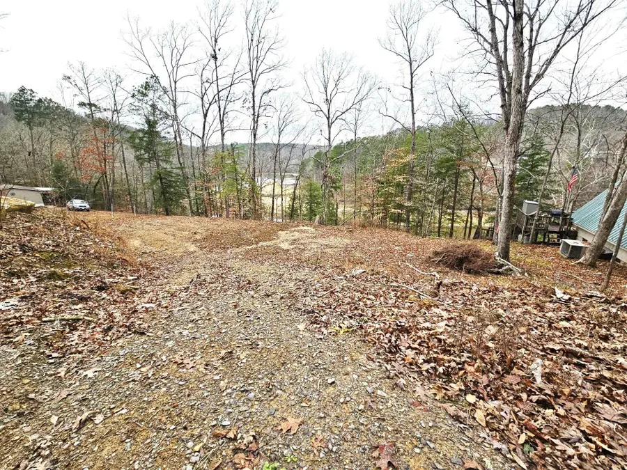 458 Co Rd 4036, Arley, AL 35541 - #3