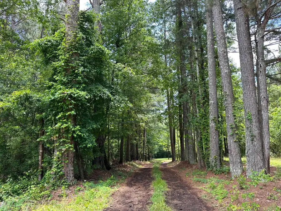 0 Co Rd 226, Iuka, MS 38852 - Image #2