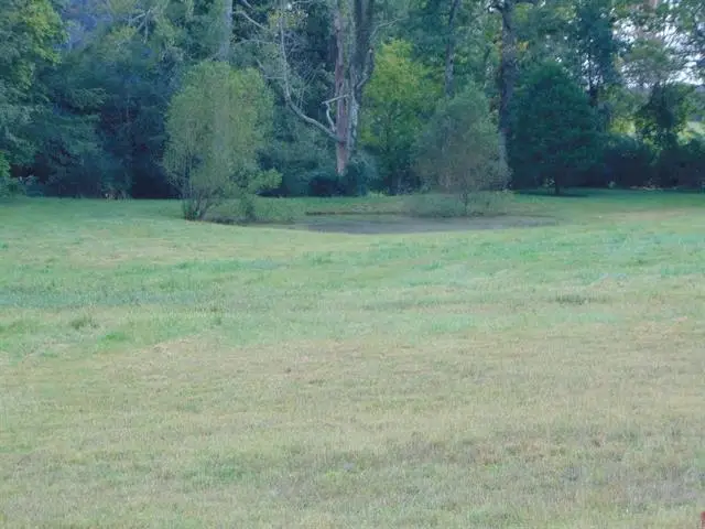 1600 Co Rd 501, Lexington, AL 35648 - Image #2