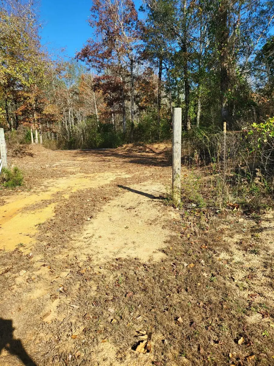 00 Co Rd 59, Nauvoo, AL 35578 - Image #2