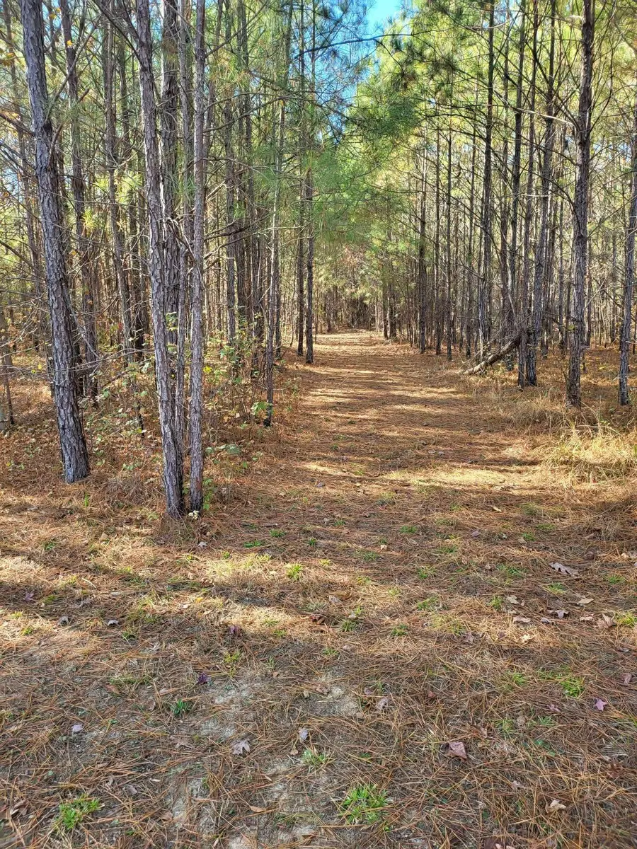 00 Co Rd 59, Nauvoo, AL 35578 - Image #3