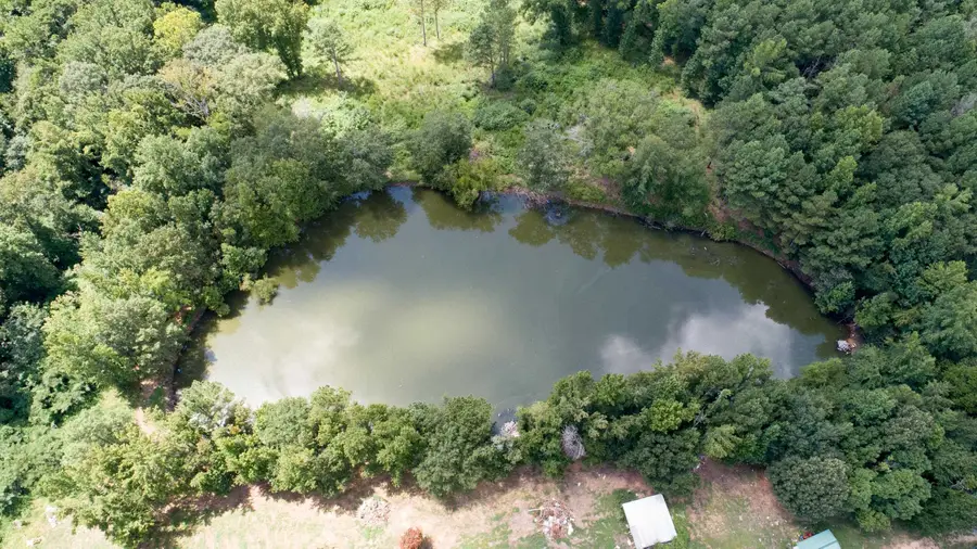 4163 Co Rd 31, Killen, AL 35645 - Image #2