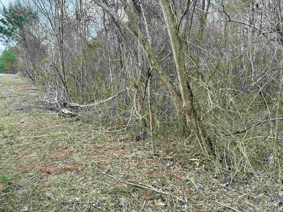 0 James N Hovater Rd, Russellville, AL 35653 - Image #2